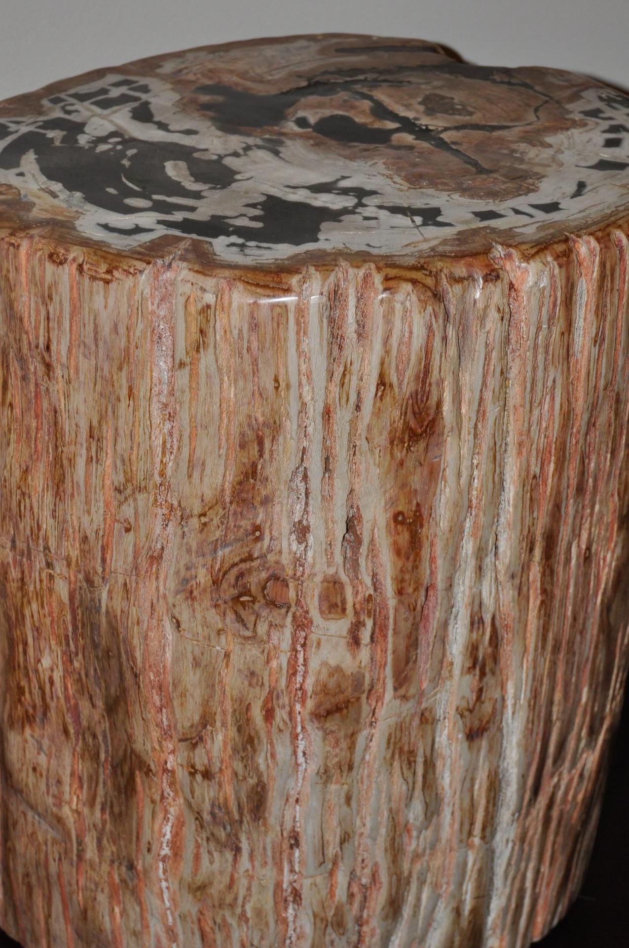 Highly Polished Ancient Petrified Wood Side Table In Good Condition In San Francisco, CA