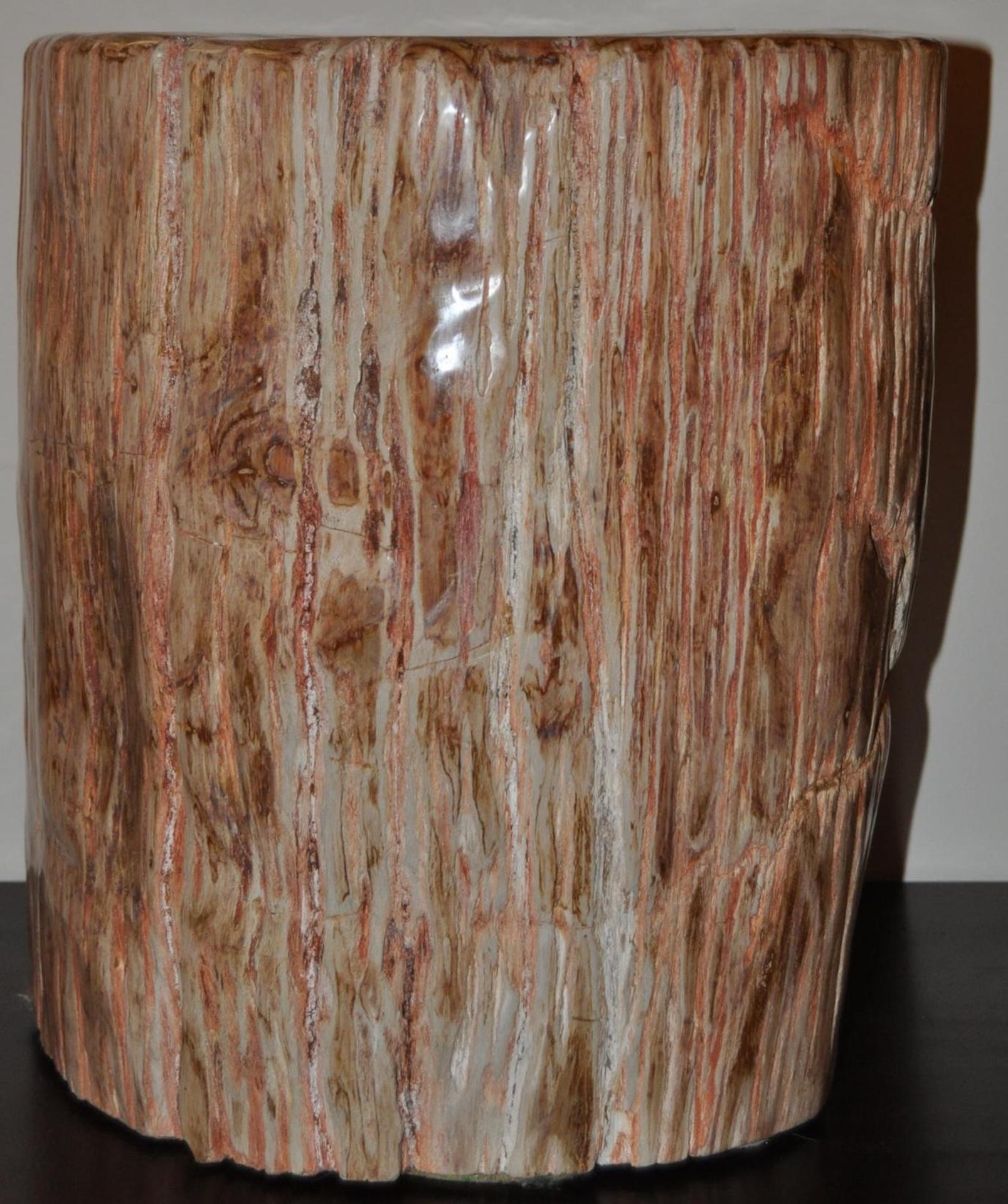 18th Century and Earlier Highly Polished Ancient Petrified Wood Side Table