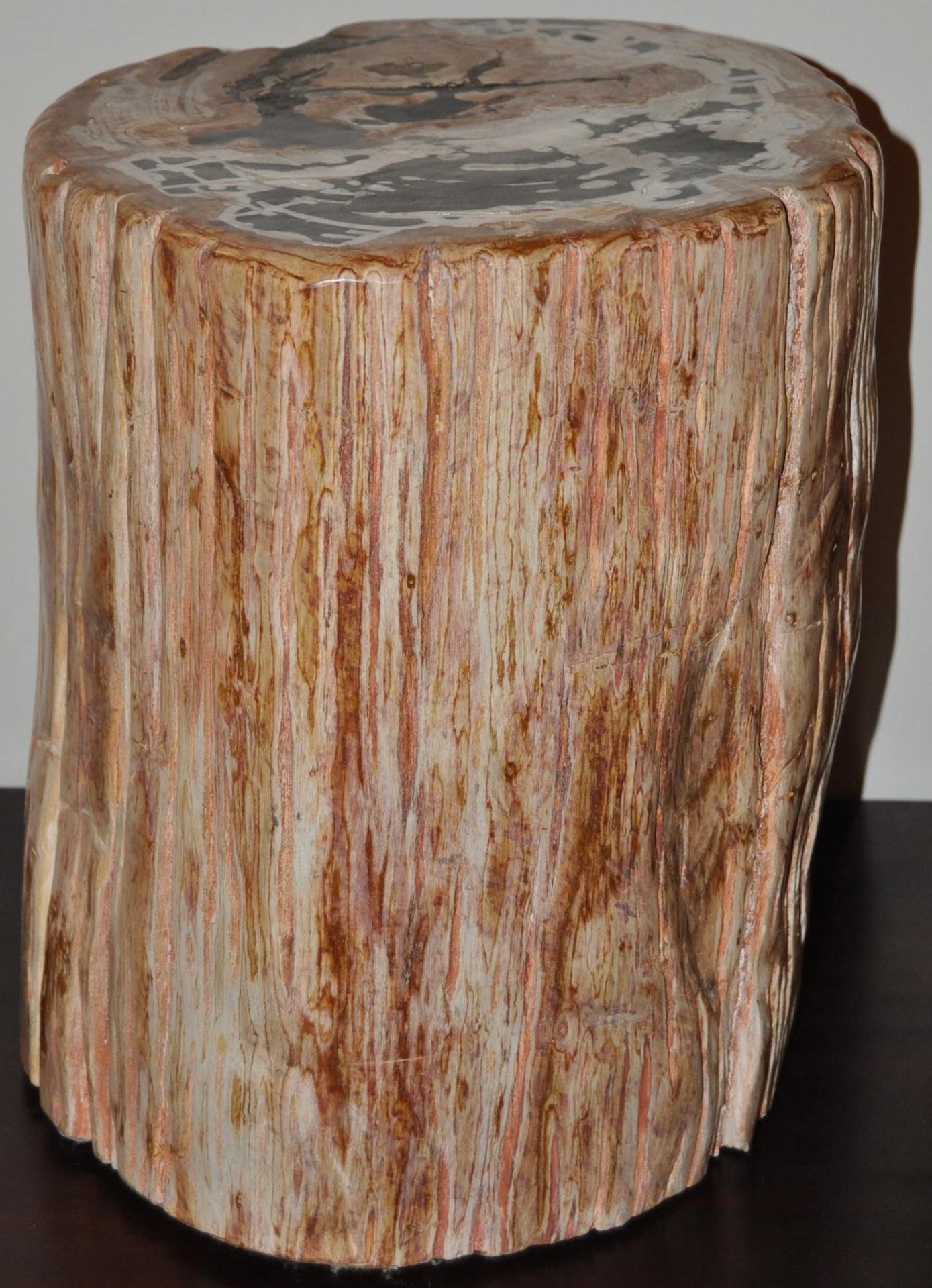 Stone Highly Polished Ancient Petrified Wood Side Table