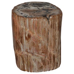 Highly Polished Ancient Petrified Wood Side Table