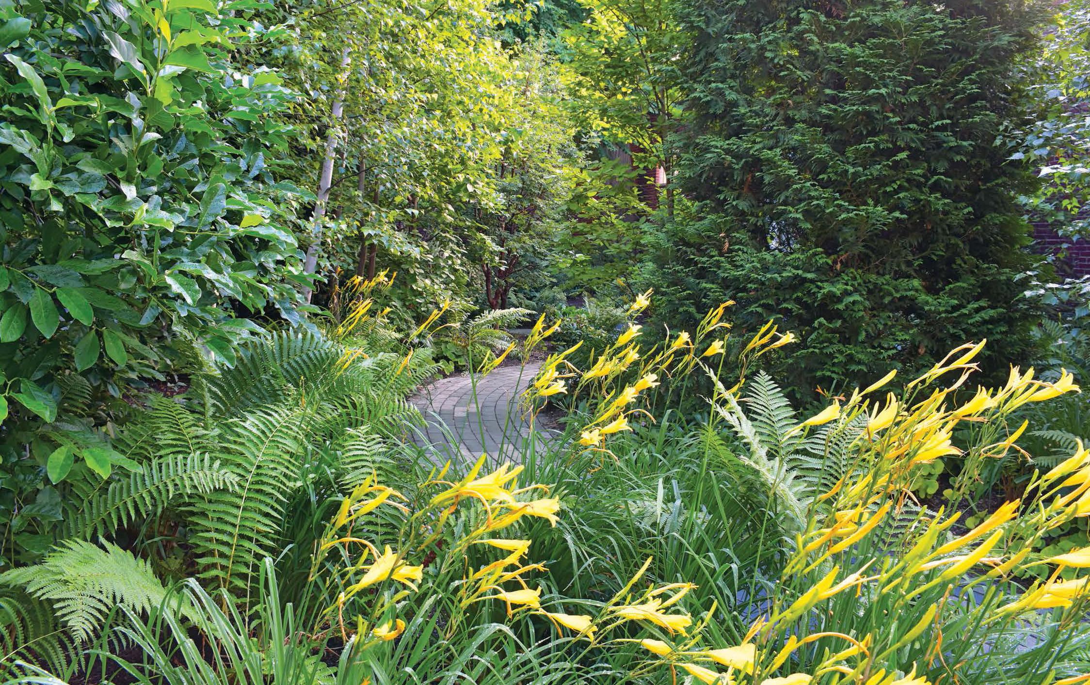 XXIe siècle et contemporain Conception d'un jardin en vente