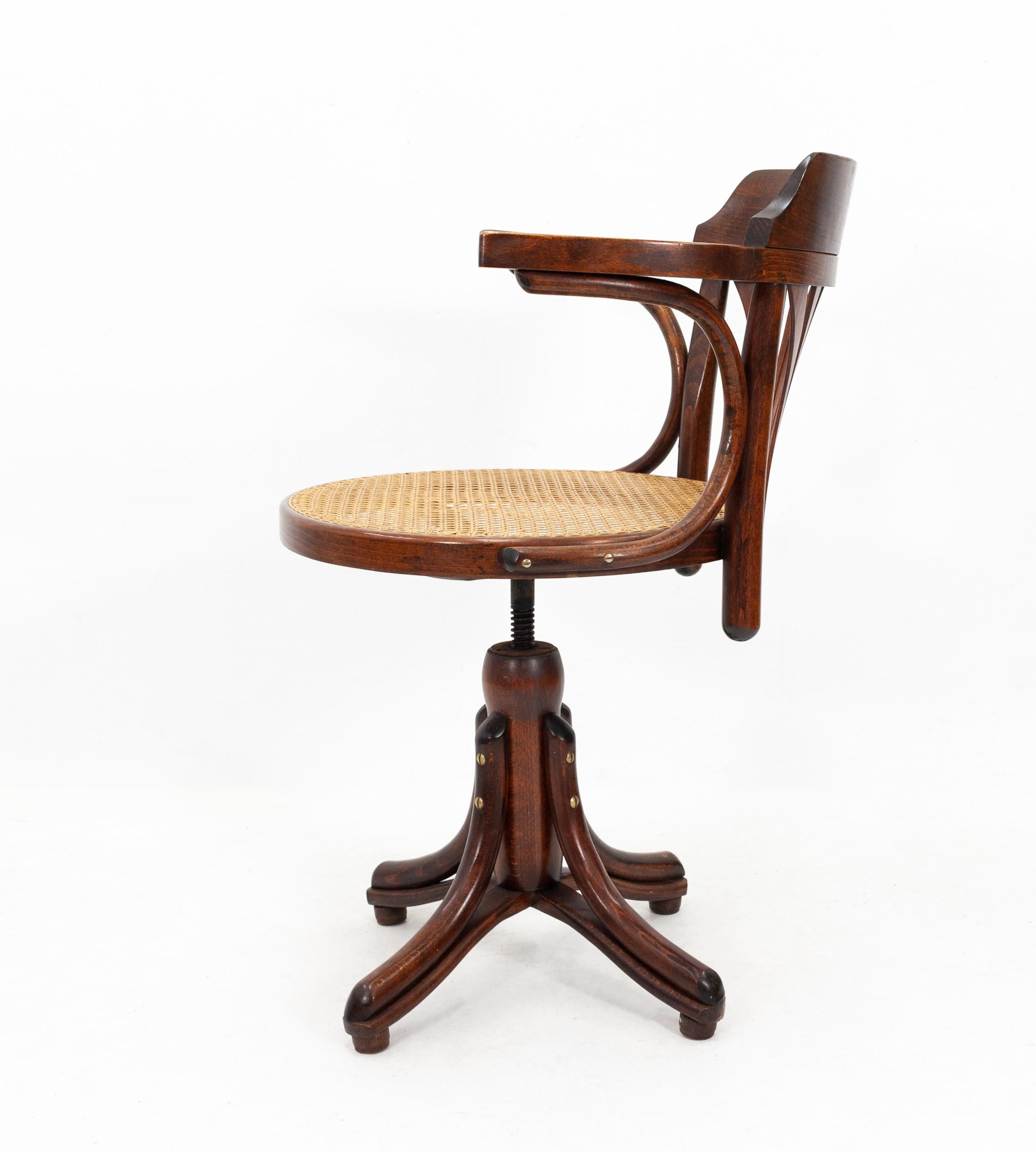 thonet ligna