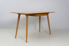 Schreibtisch, Ulmenholz, Osvaldo Borsani, 1953