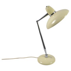 Vintage Desk Lamp with Adjustable Shade, Germany, 1950s