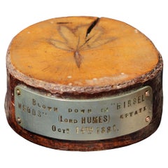Desk Weight Curio Blown Down in Hirsel Woods (Lord Humes) Estate, Oct 14th 1881