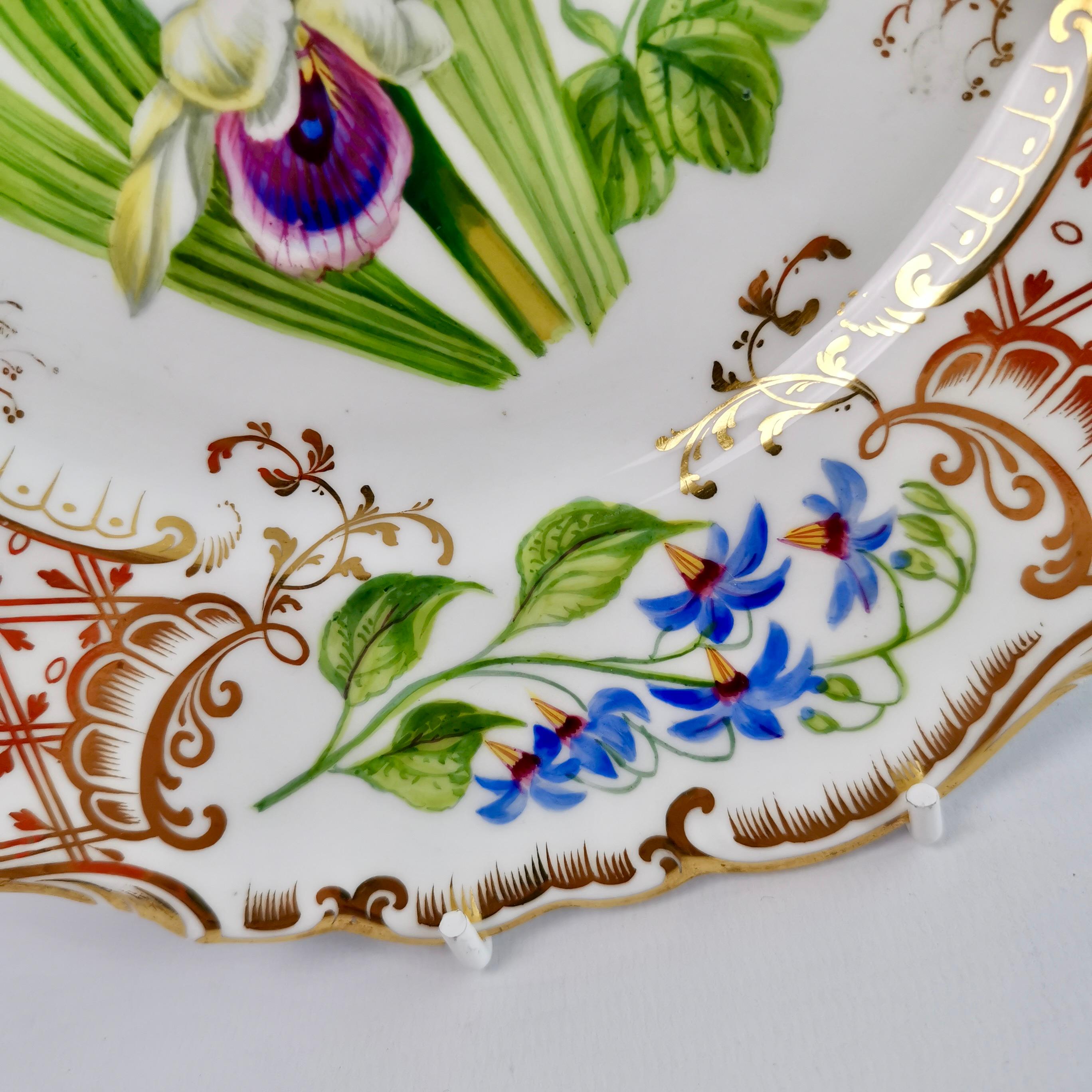 Dessert Plate Ridgway, Sublime Flowers and Gilt, Victorian 1845-1850 4