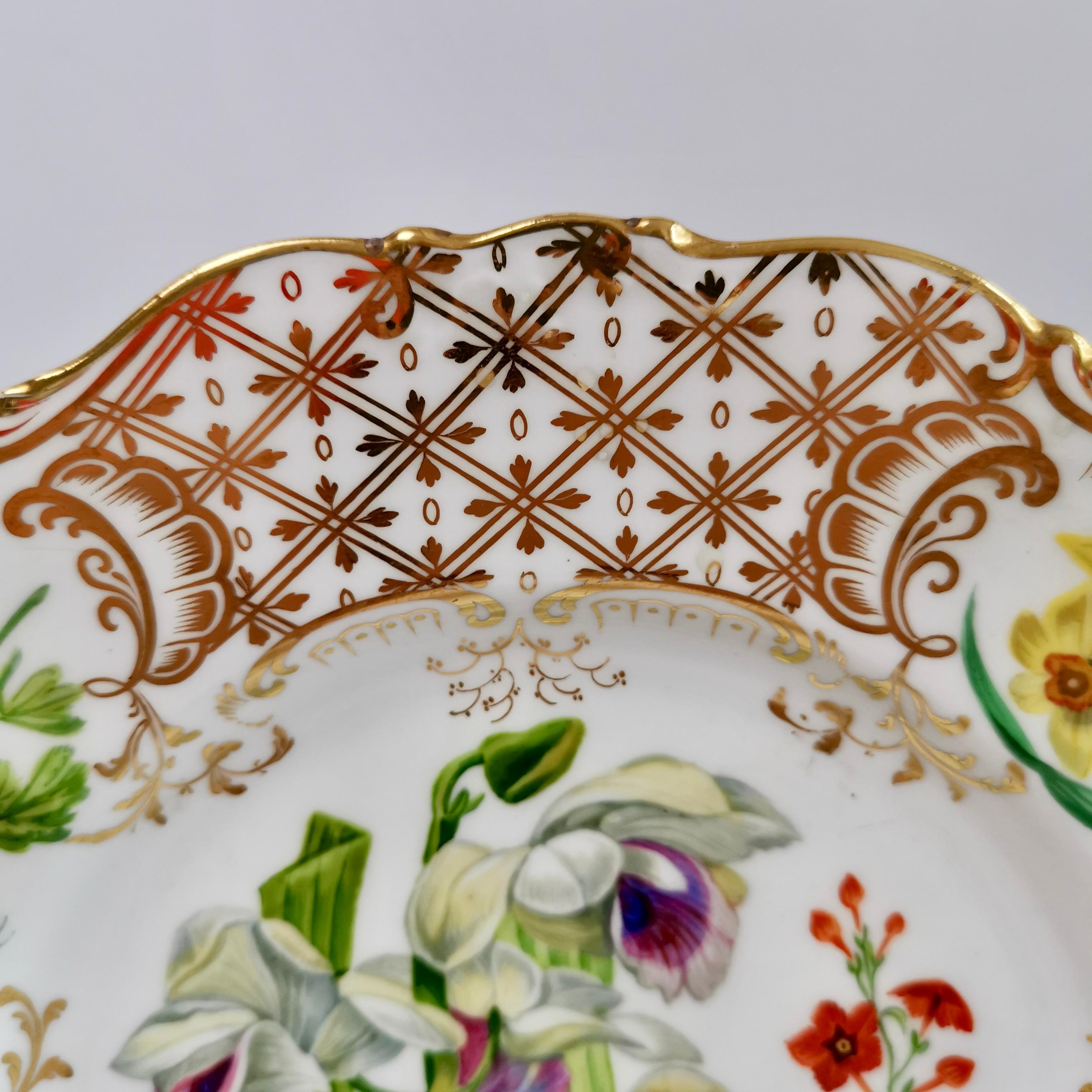 Dessert Plate Ridgway, Sublime Flowers and Gilt, Victorian 1845-1850 5