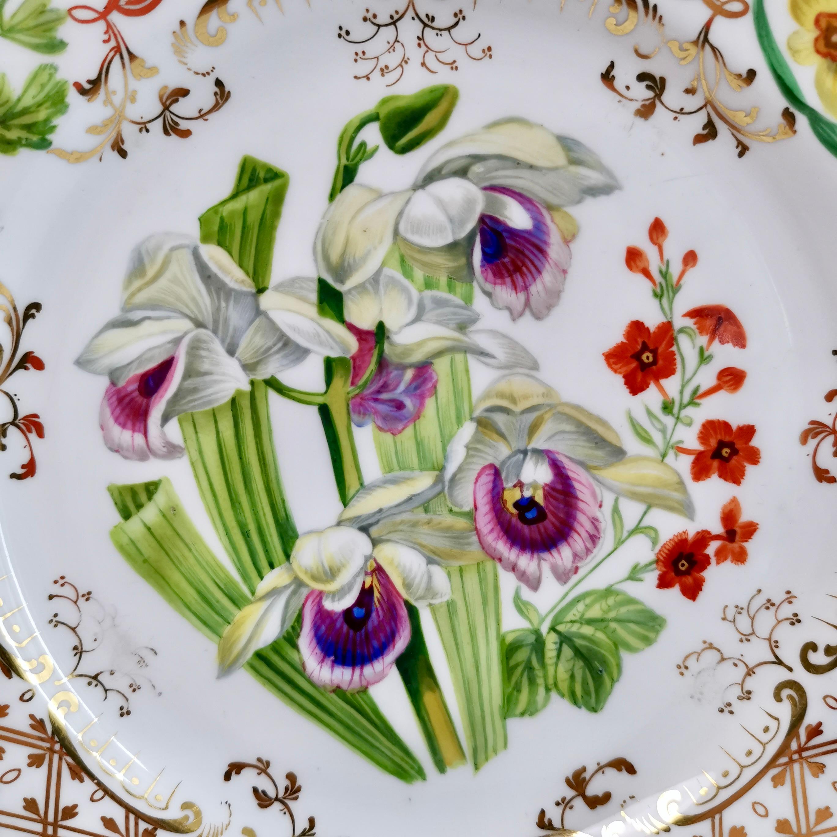 Hand-Painted Dessert Plate Ridgway, Sublime Flowers and Gilt, Victorian 1845-1850