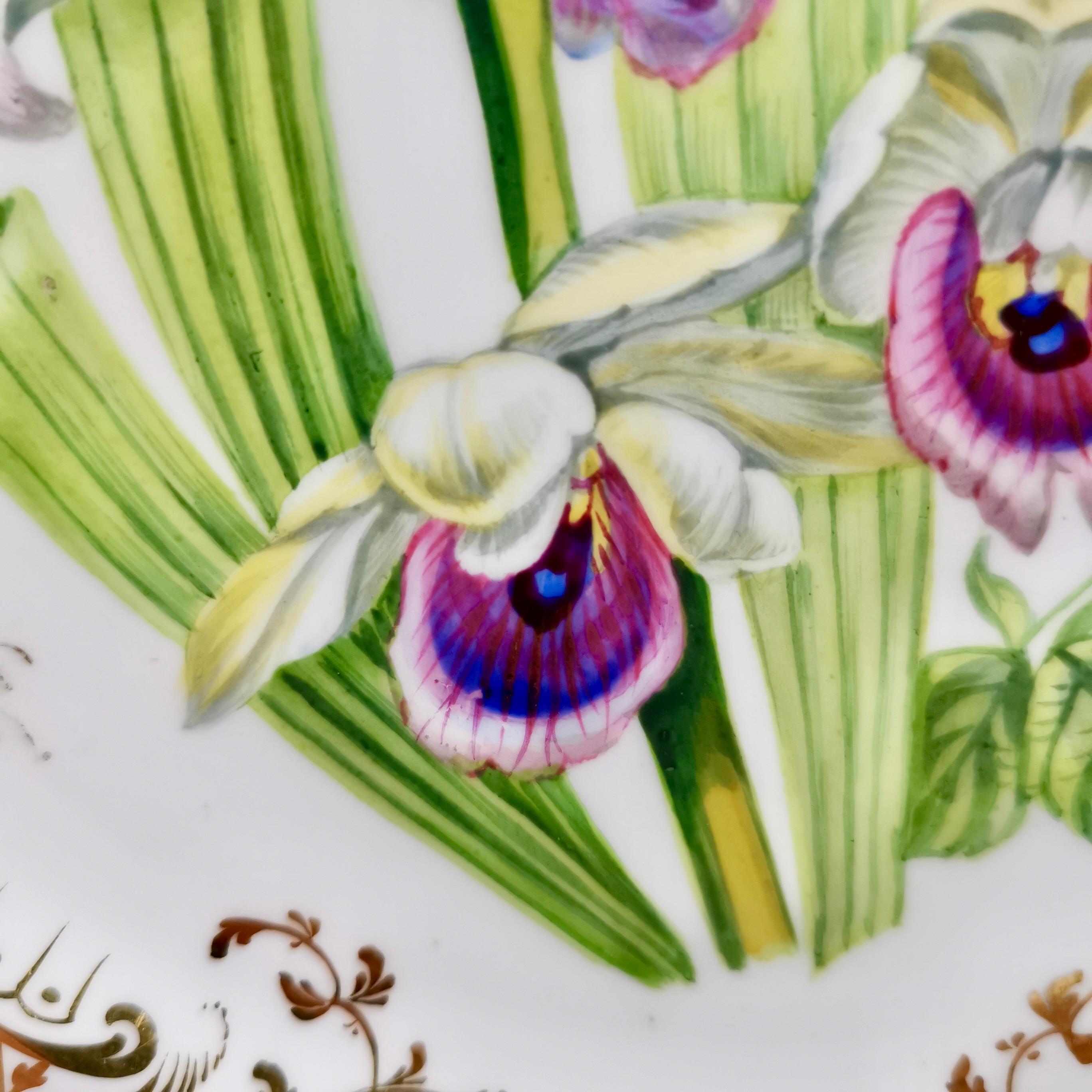 Dessert Plate Ridgway, Sublime Flowers and Gilt, Victorian 1845-1850 1