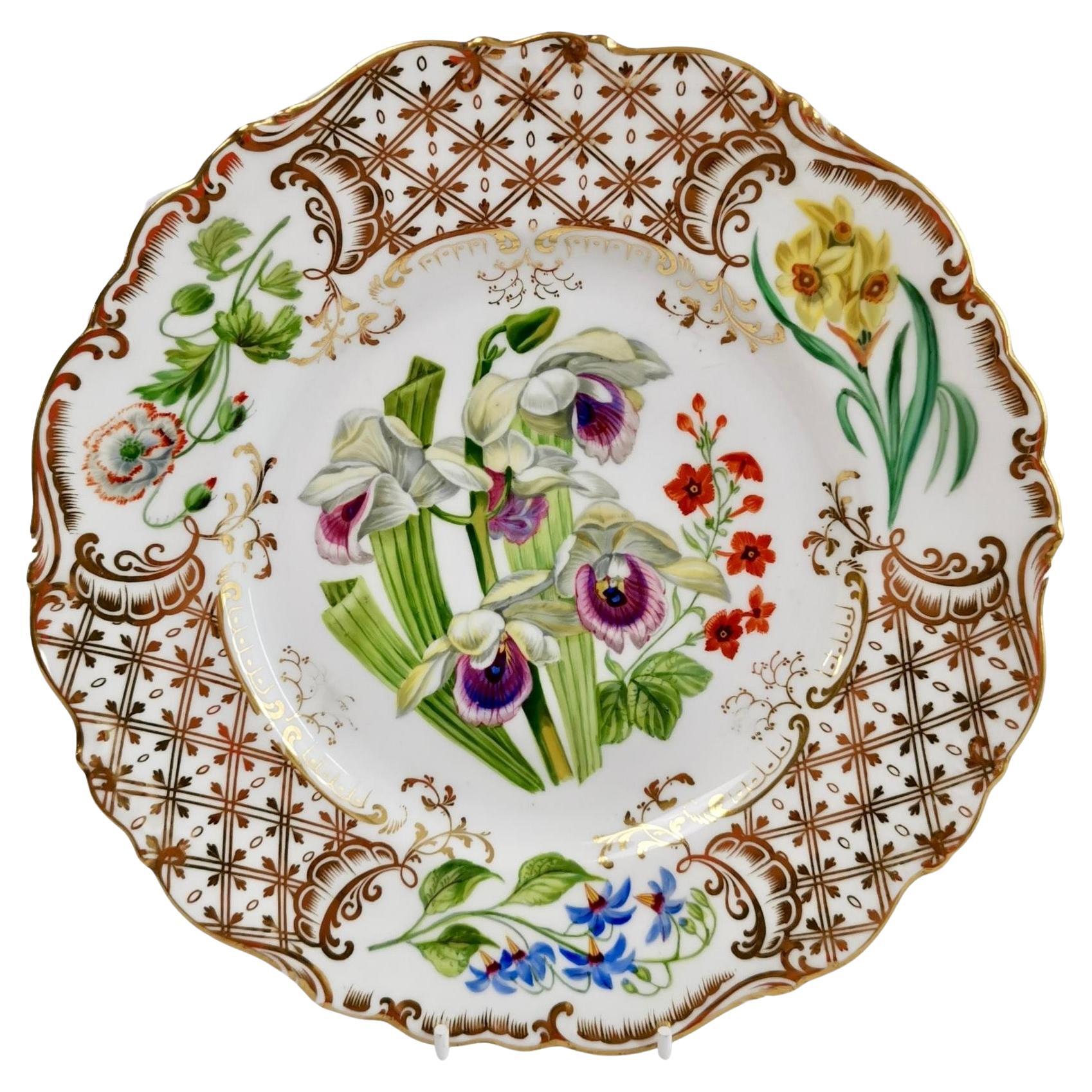 Dessert Plate Ridgway, Sublime Flowers and Gilt, Victorian 1845-1850