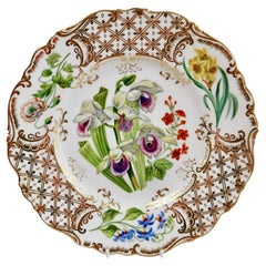Dessert Plate Ridgway, Sublime Flowers and Gilt, Victorian 1845-1850