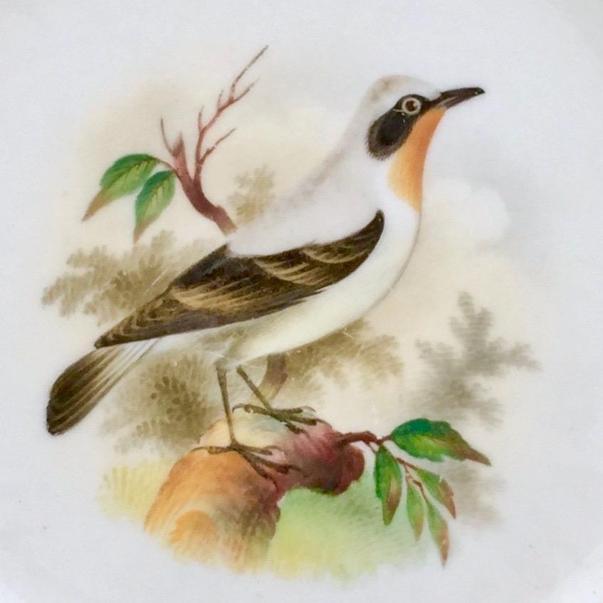 Minton Porcelain Dessert Service, Named Birds by Joseph Smith, Victorian 1851 8