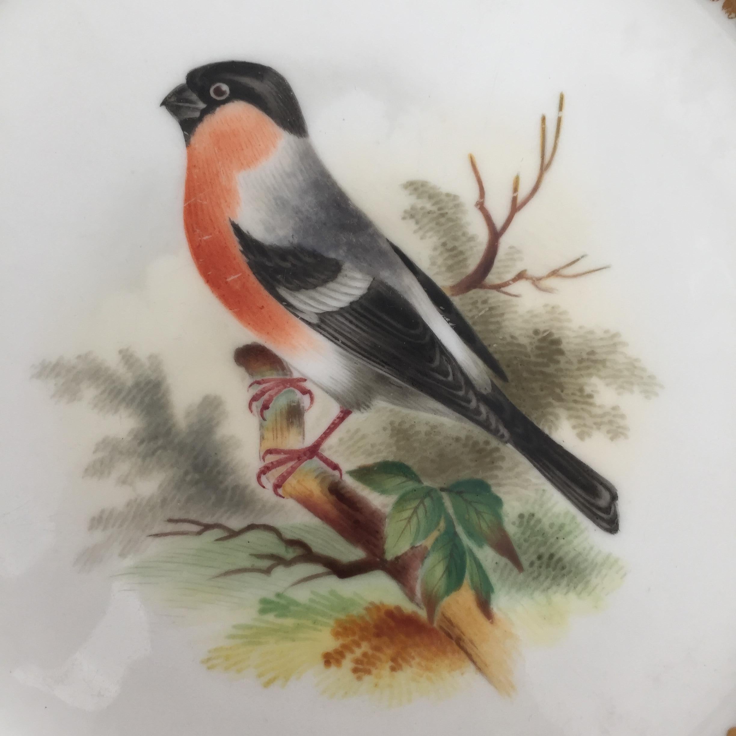 Minton Porcelain Dessert Service, Named Birds by Joseph Smith, Victorian 1851 9
