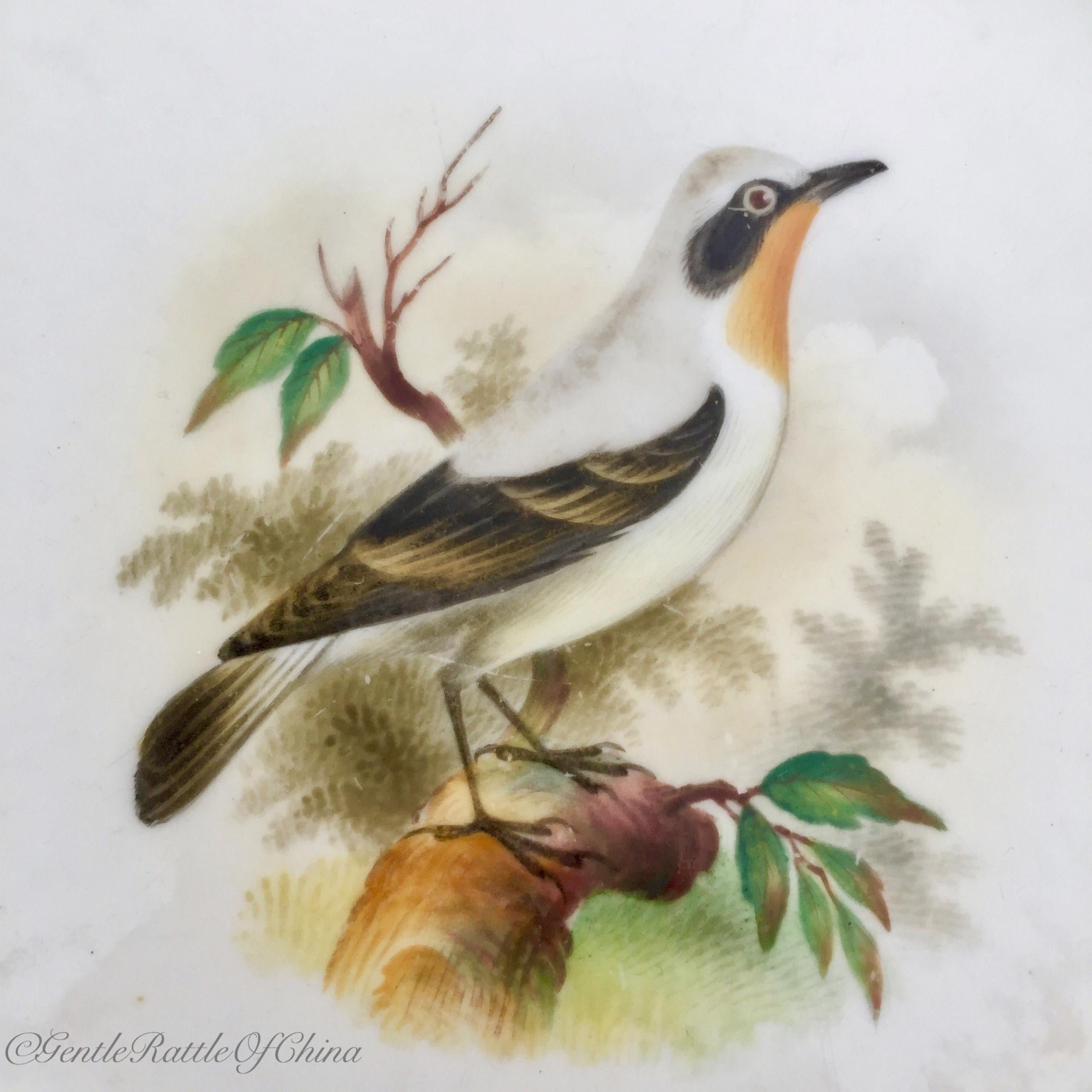 Minton Porcelain Dessert Service, Named Birds by Joseph Smith, Victorian 1851 3