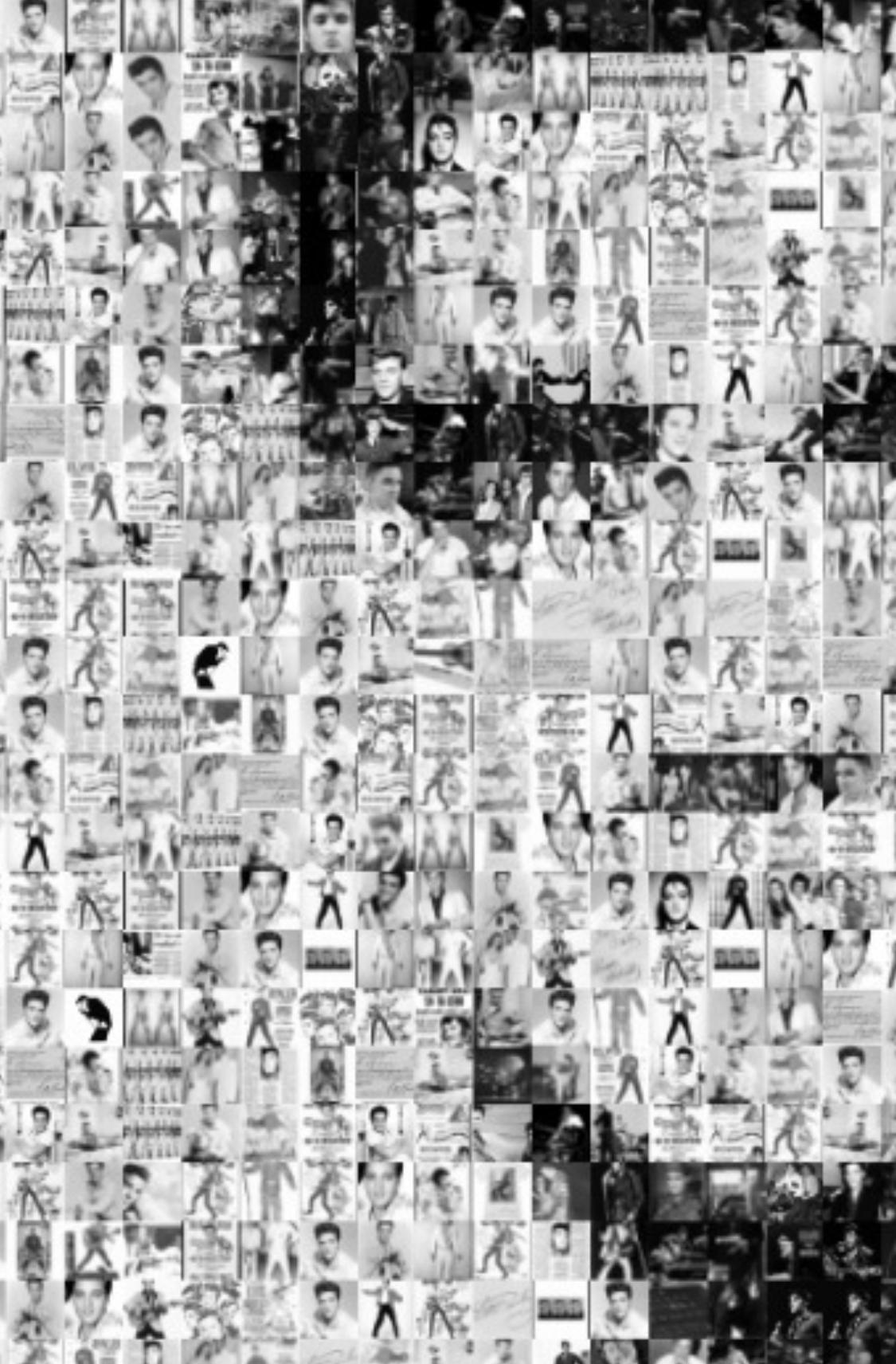 84x48 „Triple Elvis by Warhol“ Fotomosaik Pop-Kunstfotografie Signiert – Photograph von Destro