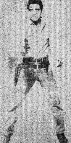 Elvis Presley Andy Warhol 20x10 Photomosaic Photography Aluminum Metal Pop Art