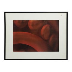 Detail Color Photograph of Red Abstract Shapes