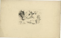 Detailed Etching of Horse, Cow, Goat, and Sheep Heads by Oberman, 1809