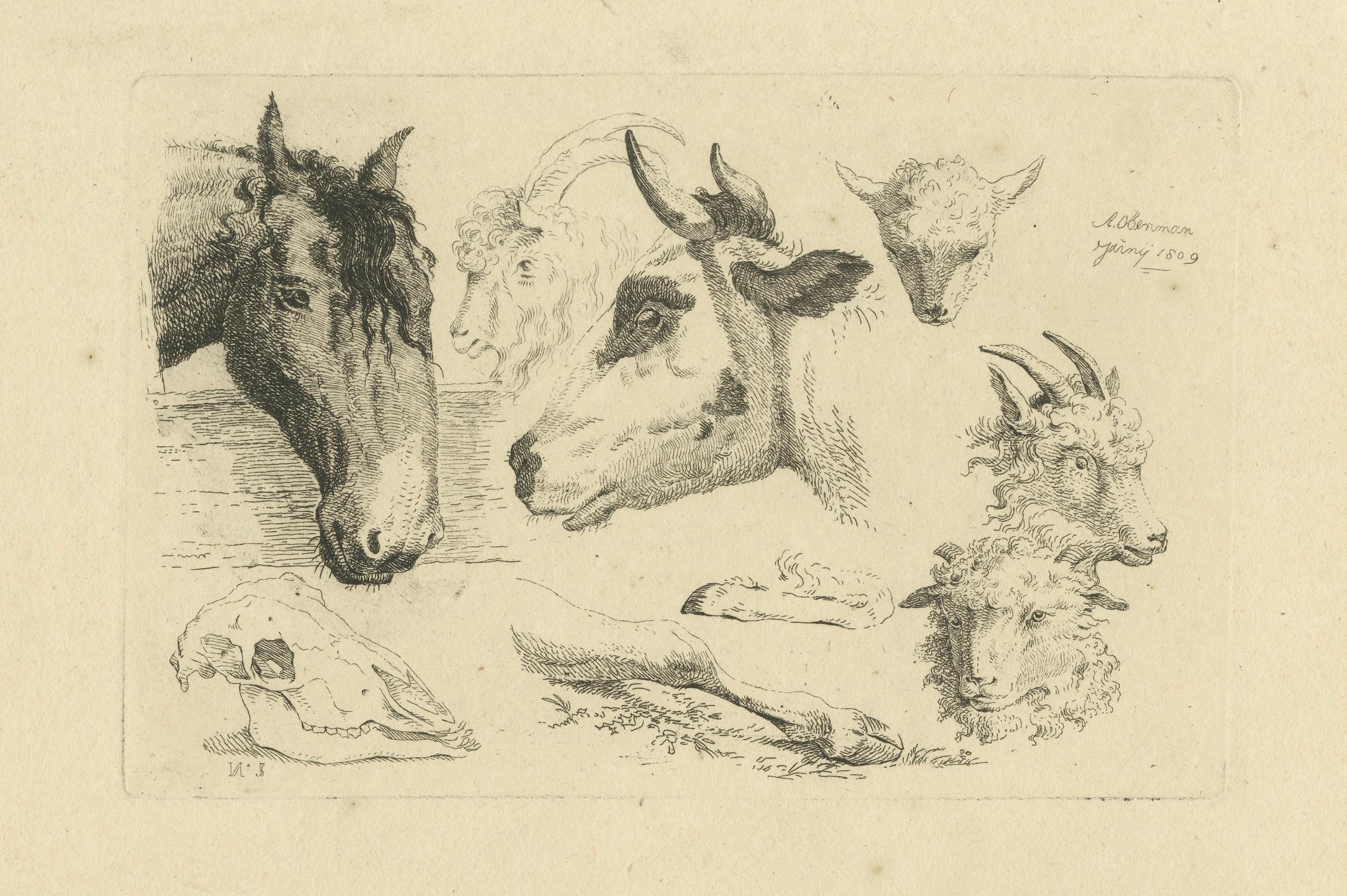 Grabado al aguafuerte detallado de cabezas de caballo, vaca, cabra y oveja por Oberman, 1809 en venta 1