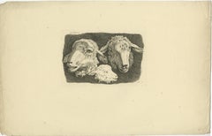 Detailed Etching of Sheep and Lamb Heads: Farm Animal Study by Oberman, 1809