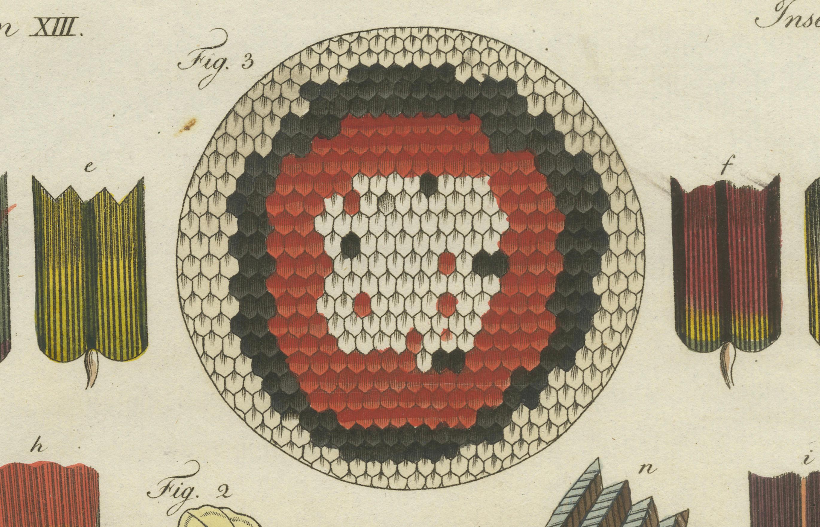 Detaillierte Studie der Schmetterlingsflügelstrukturen, handkolorierte Gravur, 1798 (Spätes 18. Jahrhundert) im Angebot
