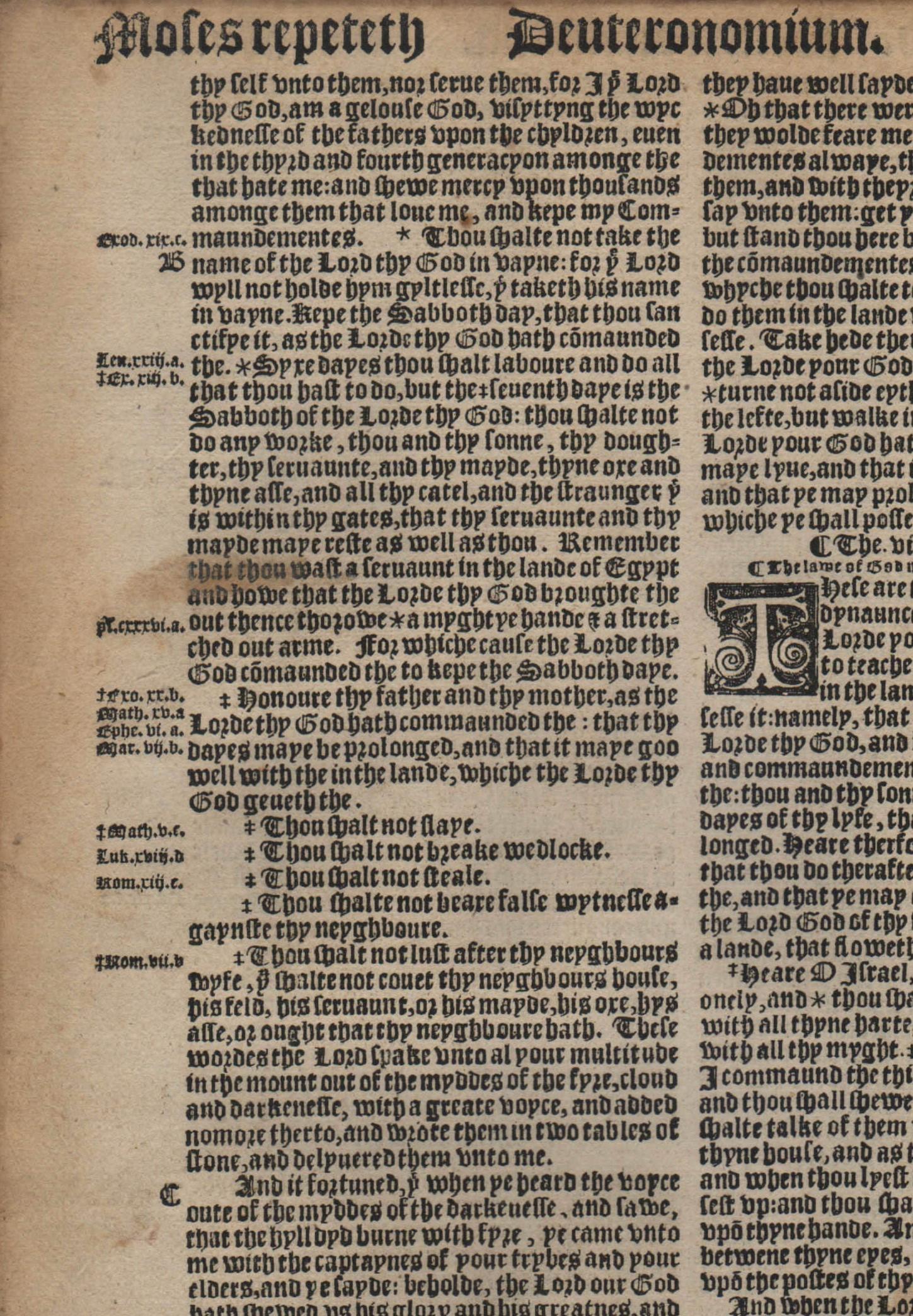 Paper Deuteronomy, Complete Book from the 1540 
