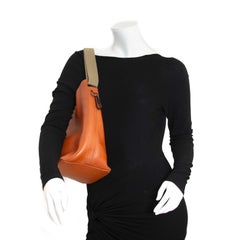 Deux De Delvaux Orange Bucket Bag