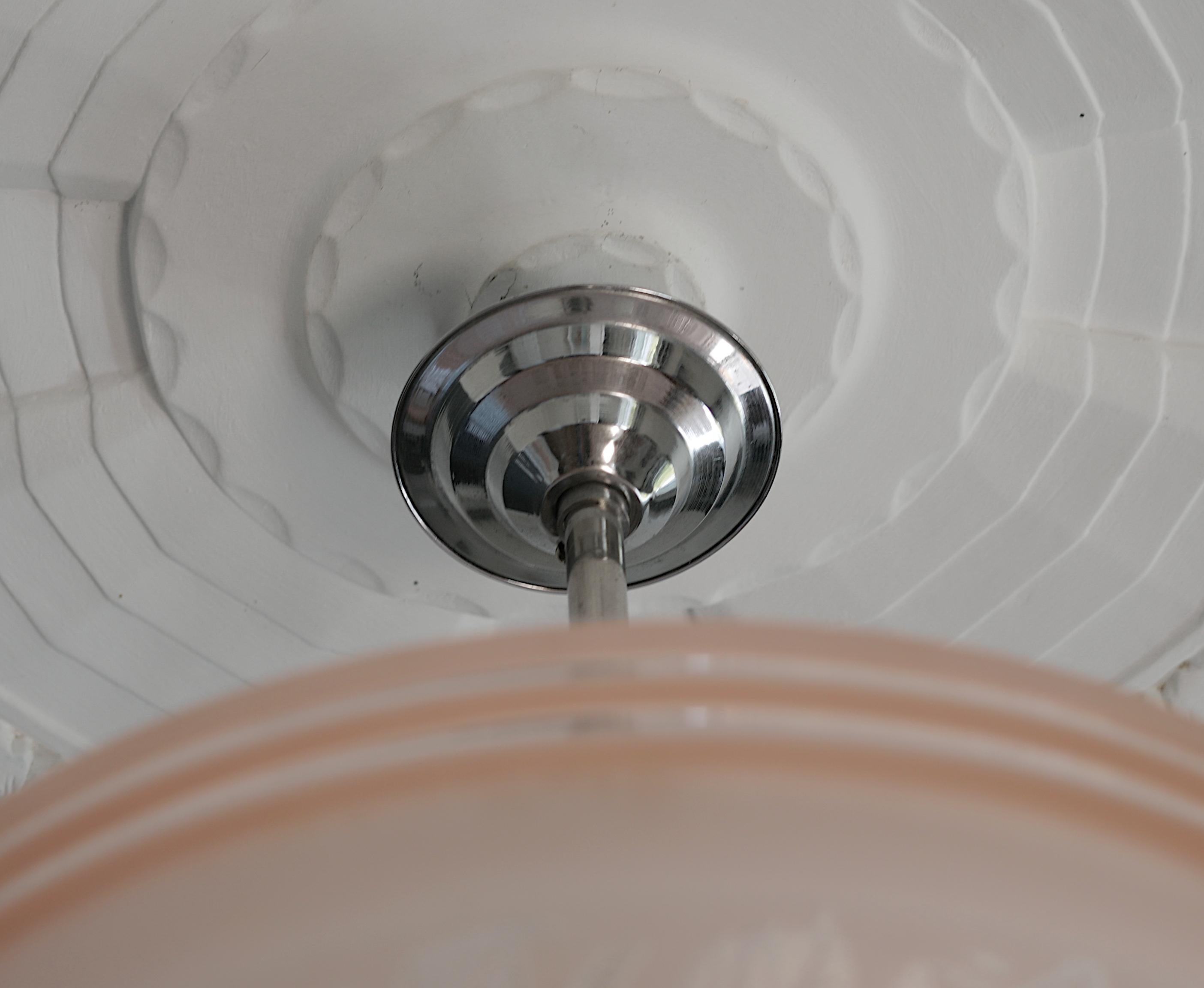 Lampadario a sospensione a forma di rosa canina inciso all'acido di Deveau, 1920 in vendita 1