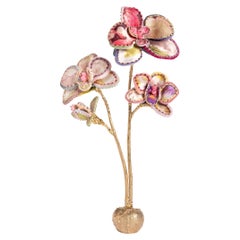 Orchidée de Devi
