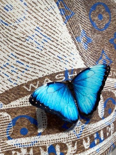 Dollar - contemporary mixed media original pop artwork of wrinkled dollar