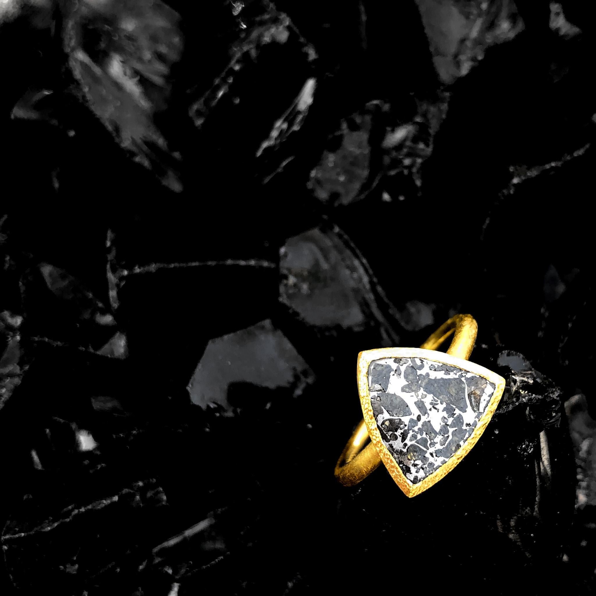 Artisan Devta Doolan Reflective Meteorite Gold One of a Kind Solitaire Ring