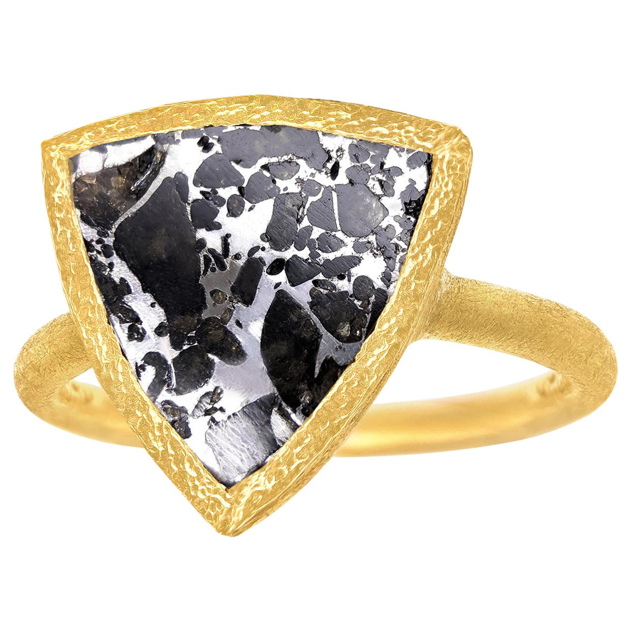 Devta Doolan Reflective Meteorite Gold One of a Kind Solitaire Ring