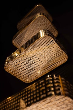 Característica Dex Rex - 6 Piezas