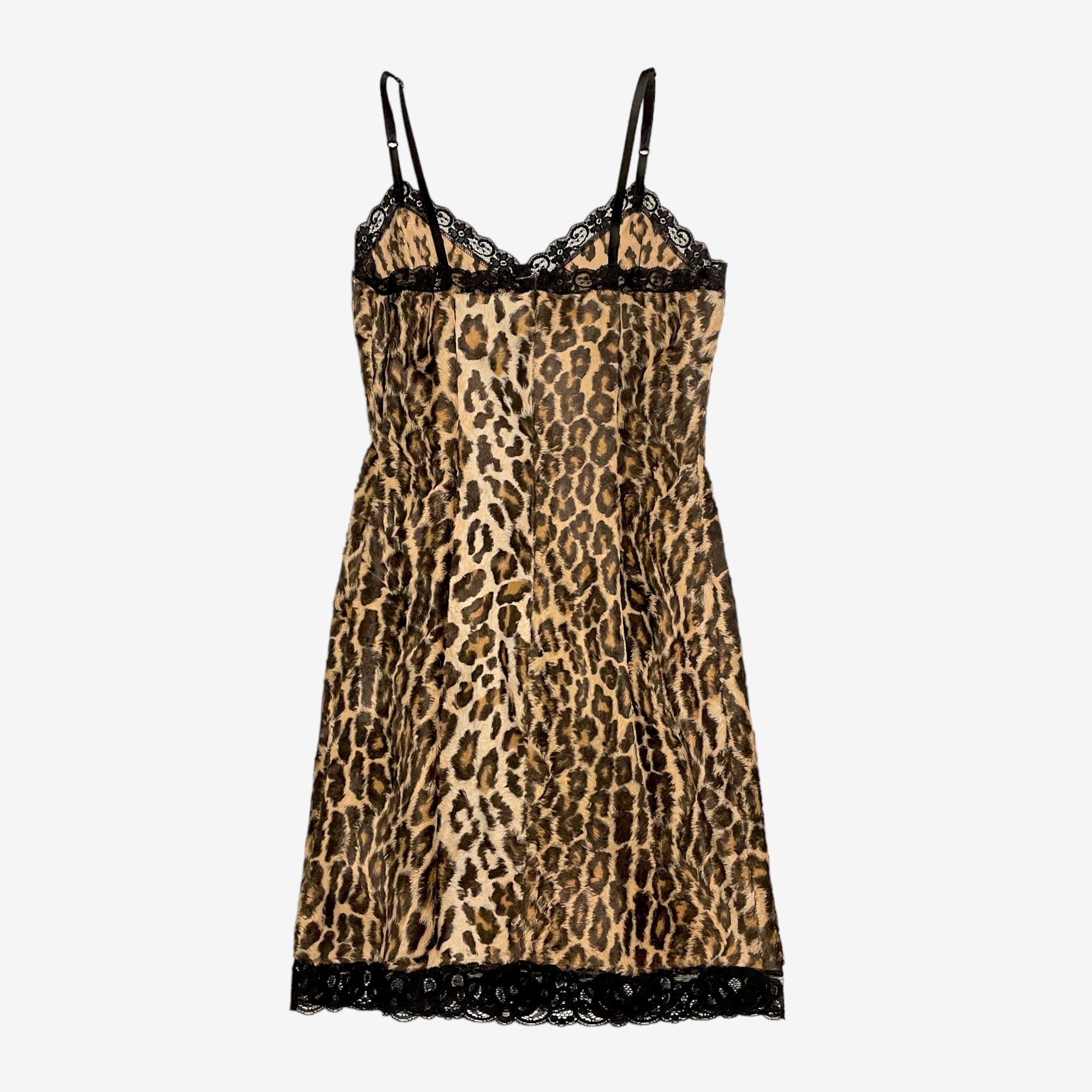 D&G 