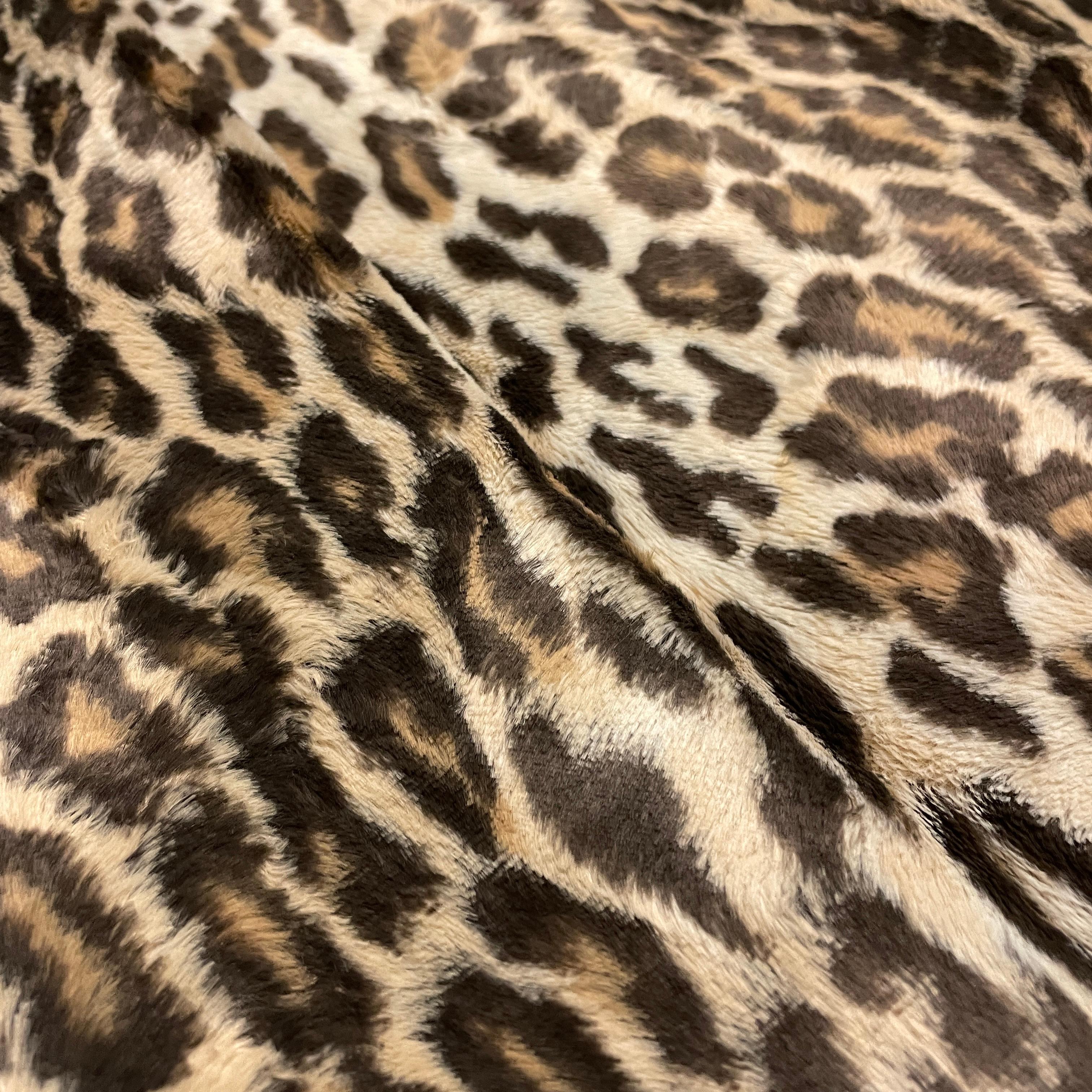 Women's D&G 