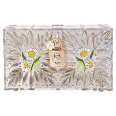 D&G Hand Painted Daisy Plexiglass Clutch Bag DOLCE BOX with Crystals Silver