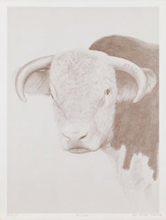 Dhimitri Zonia, 'Bull', c. 1970, Lithograph, 86 of 100, Signed, Framed