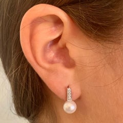 Diamond Akoya Pearl Earrings 14k White Gold Certified