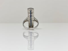 Diamond and Blue Sapphire Ring in 14 Karat White Gold