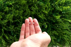 Diamond and Yellow Gold Stud Earrings