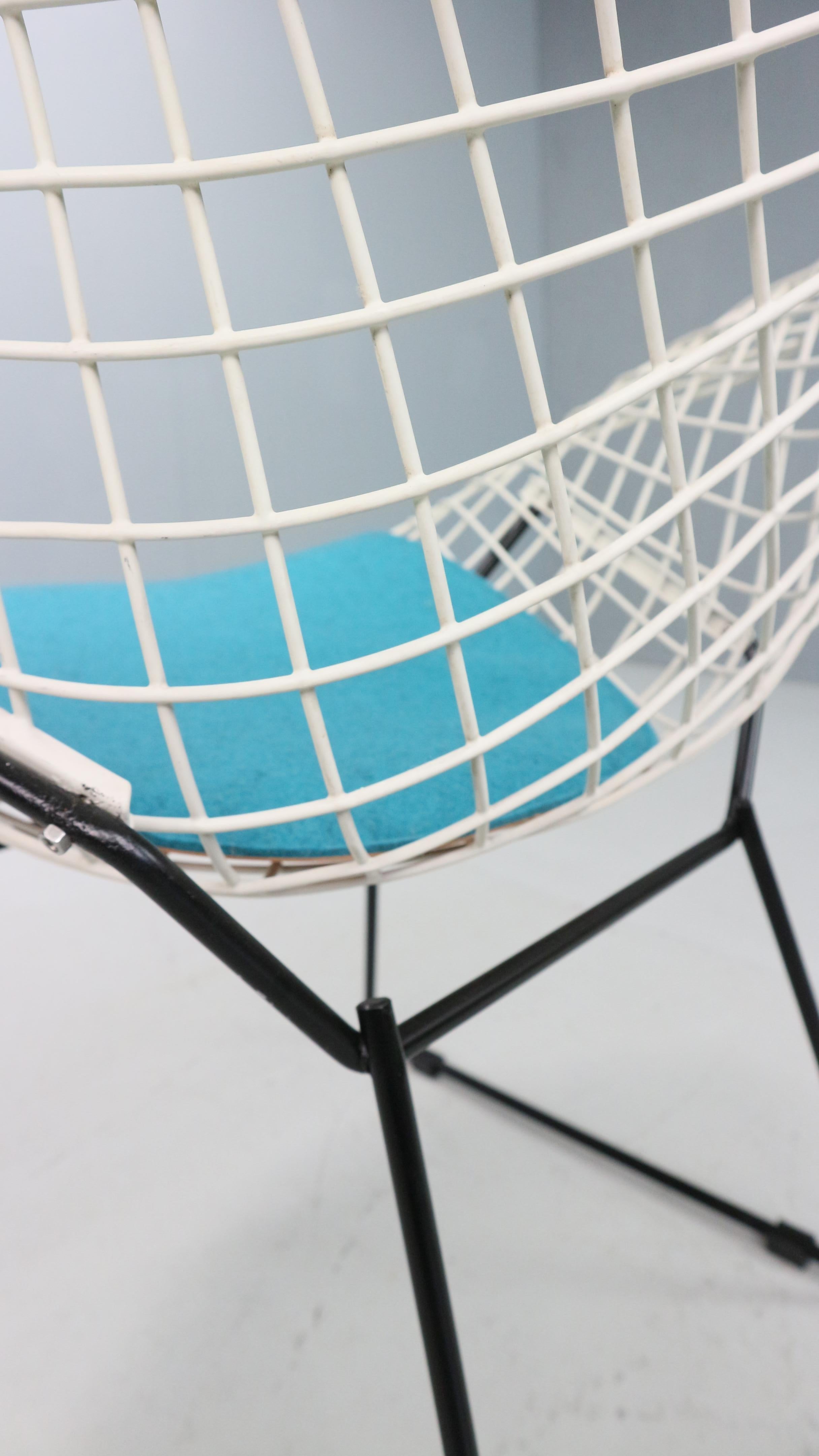 Diamond chair by Harry Bertoia in white & black metal and new blue seating 1960s For Sale 8
