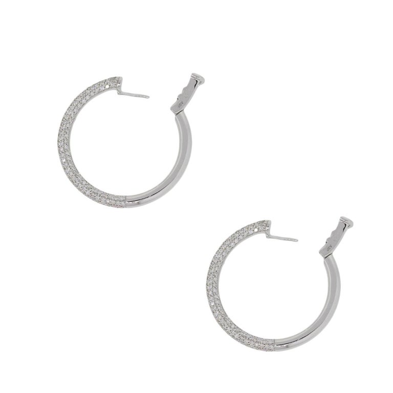 Diamond Pave Hoop Earrings For Sale at 1stDibs
