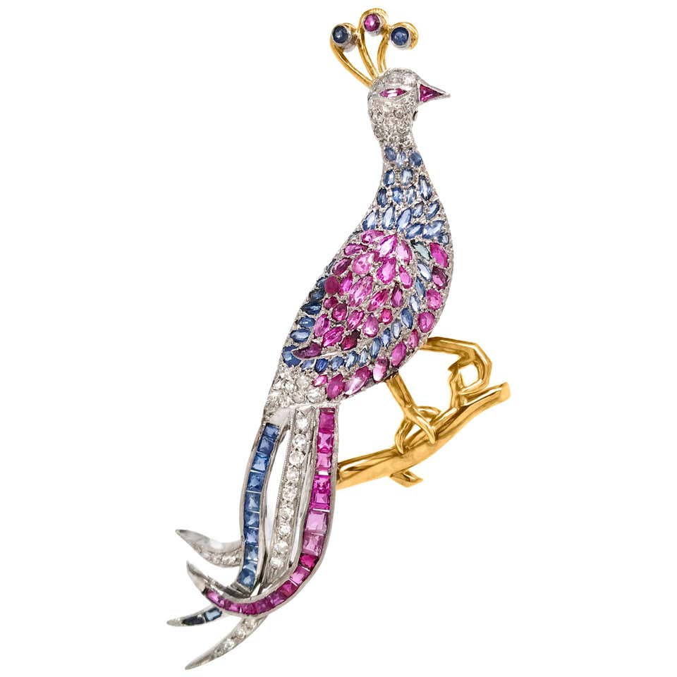 Diamond, Sapphire and Ruby Peacock Brooch at 1stDibs