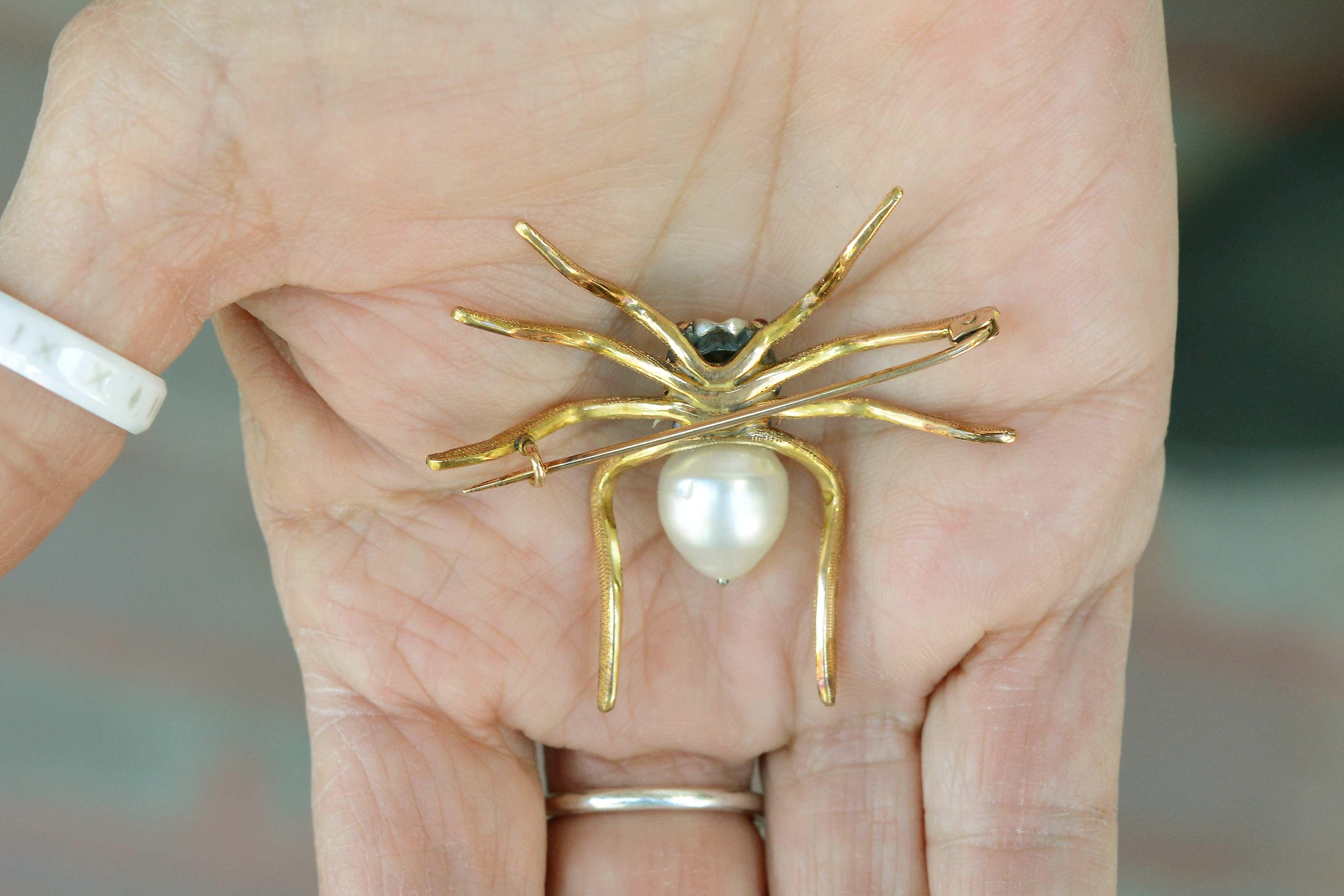 antique spider brooch