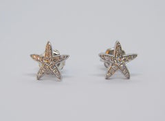 Diamond Star Earrings in 18 Karat White Gold