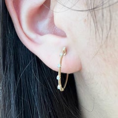 Diamond Station Threaded Hoop Earrings in 14K Two-Tone Gold, EG13761