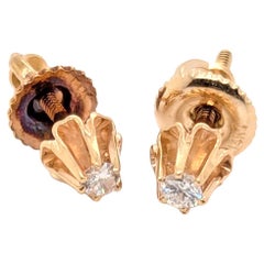 Stud Earrings