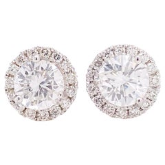 Diamond Stud Earrings, 1.50 Carats White Gold, Round Diamonds with Diamond Halo