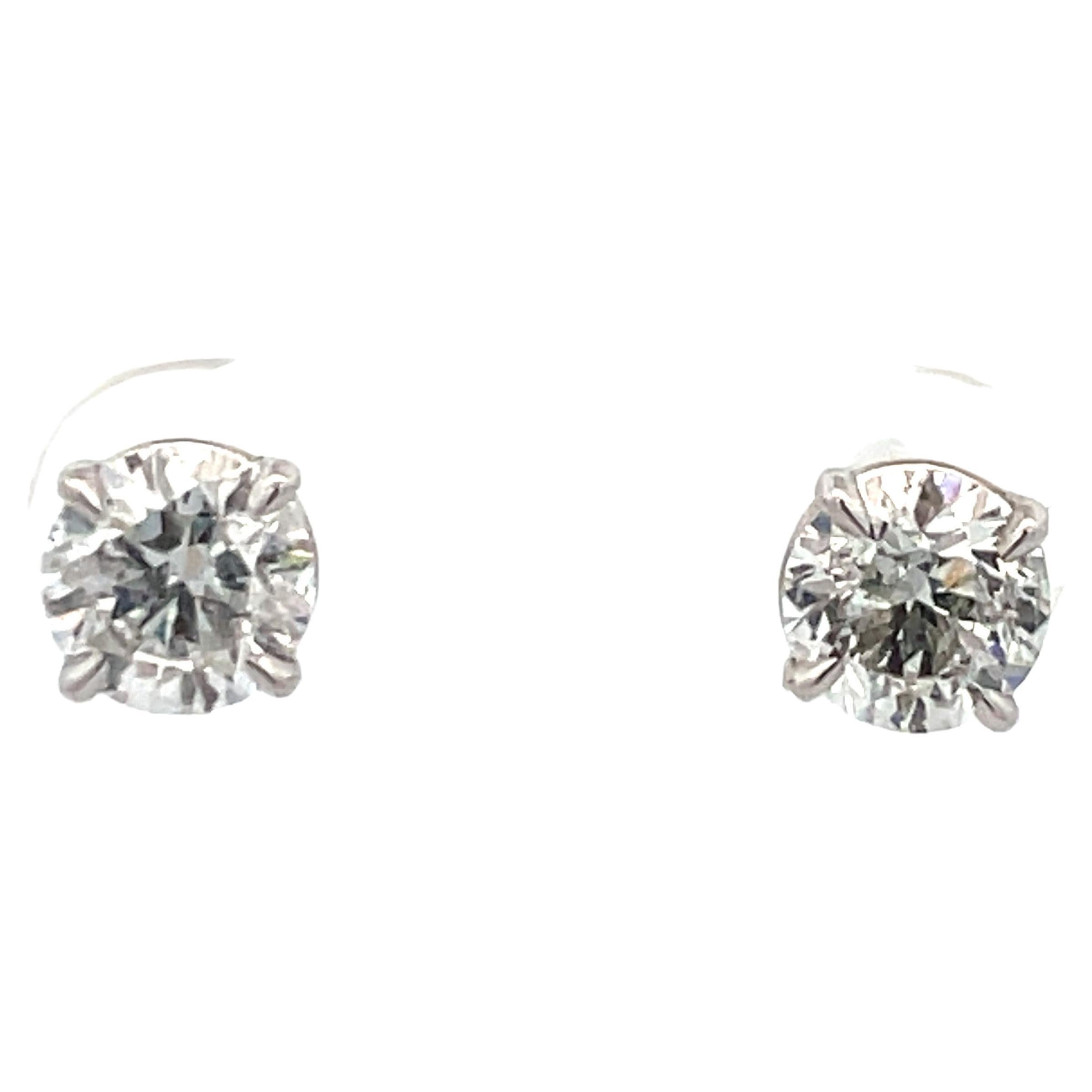 14 Karat White Gold Diamond Stud Earrings Buttercup Setting For Sale at