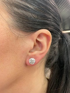 Diamond Stud Earrings 6.69 Carats H I1 18 Karat White Gold Champagne Setting
